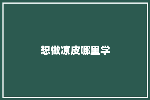 想做凉皮哪里学