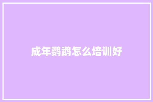 成年鹦鹉怎么培训好
