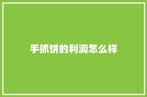 手抓饼的利润怎么样