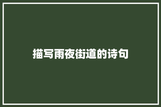 描写雨夜街道的诗句