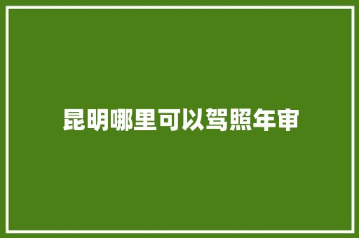 昆明哪里可以驾照年审