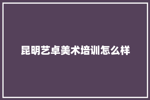 昆明艺卓美术培训怎么样