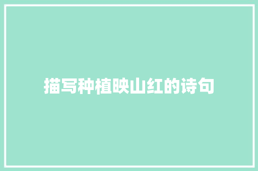 描写种植映山红的诗句