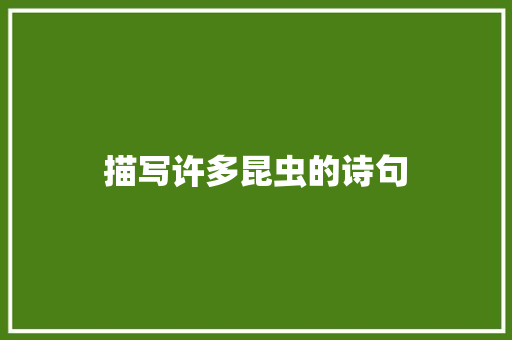 描写许多昆虫的诗句