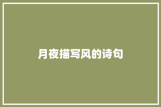 月夜描写风的诗句