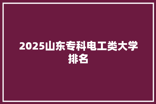 2025山东专科电工类大学排名