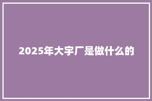 2025年大宇厂是做什么的