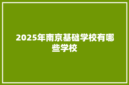 2025年南京基础学校有哪些学校
