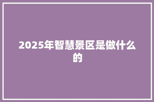 2025年智慧景区是做什么的