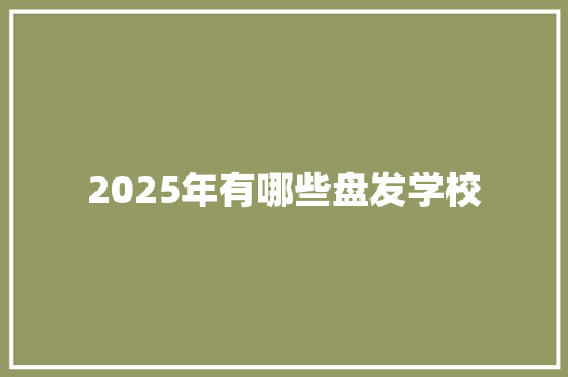 2025年有哪些盘发学校