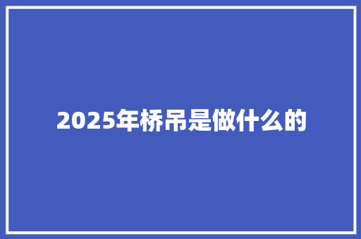 2025年桥吊是做什么的