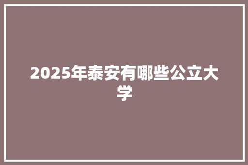 2025年泰安有哪些公立大学