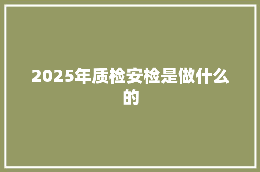 2025年质检安检是做什么的