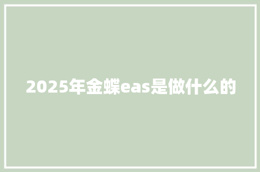 2025年金蝶eas是做什么的