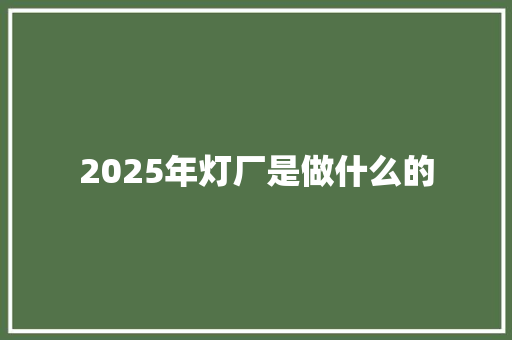 2025年灯厂是做什么的