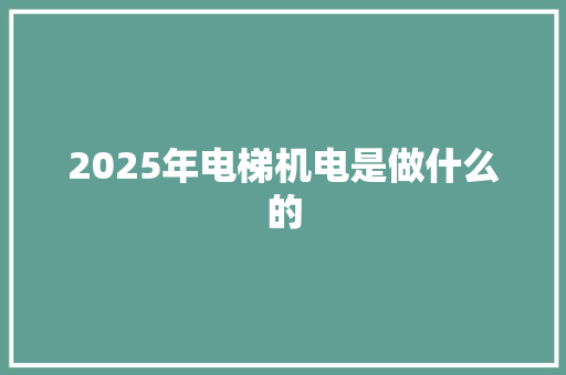 2025年电梯机电是做什么的