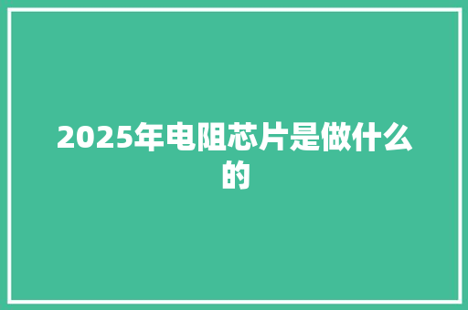 2025年电阻芯片是做什么的
