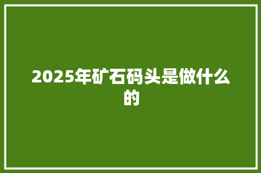 2025年矿石码头是做什么的
