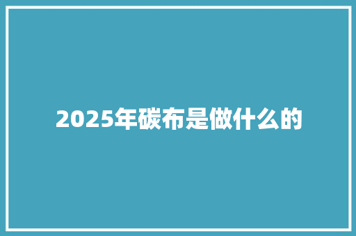 2025年碳布是做什么的