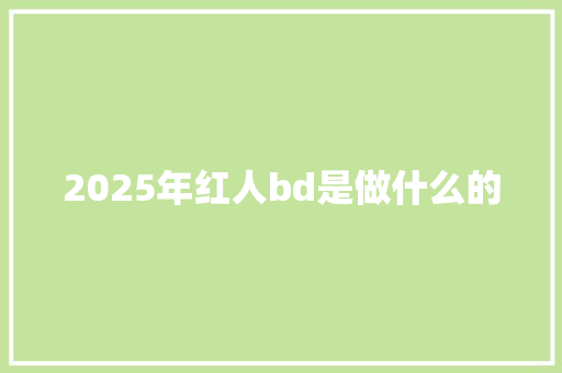 2025年红人bd是做什么的