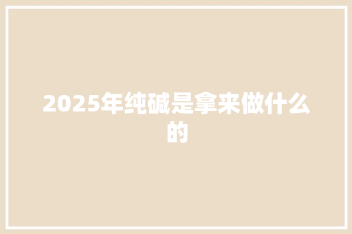 2025年纯碱是拿来做什么的
