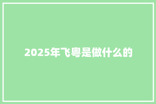 2025年飞粤是做什么的