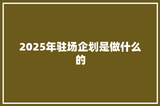 2025年驻场企划是做什么的