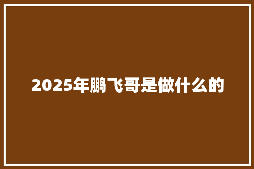 2025年鹏飞哥是做什么的