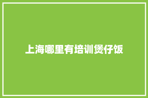 上海哪里有培训煲仔饭