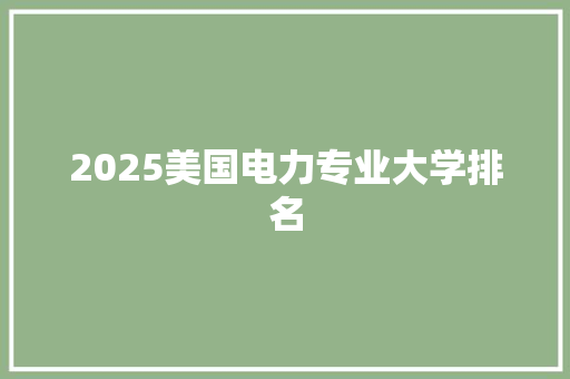 2025美国电力专业大学排名