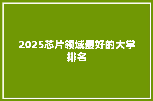 2025芯片领域最好的大学排名