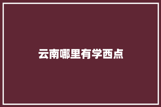 云南哪里有学西点