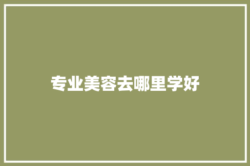 专业美容去哪里学好