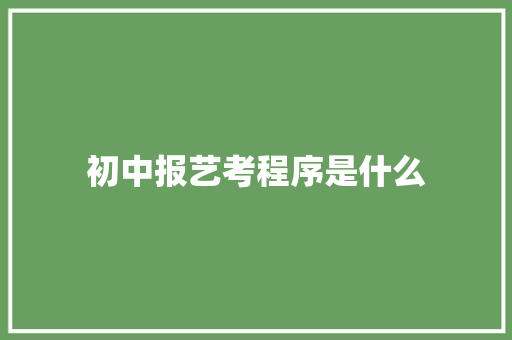 初中报艺考程序是什么