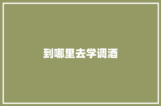 到哪里去学调酒