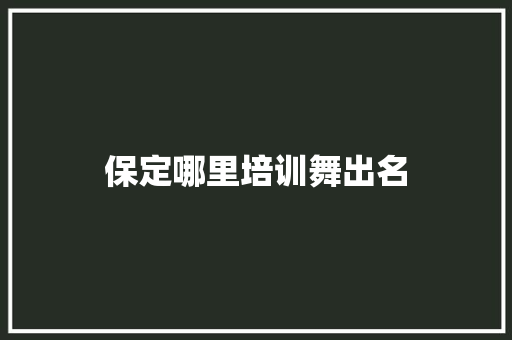 保定哪里培训舞出名