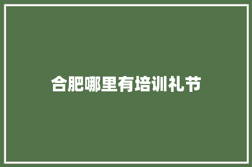 合肥哪里有培训礼节