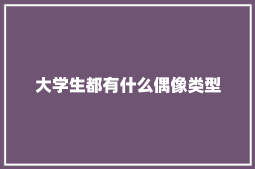 大学生都有什么偶像类型