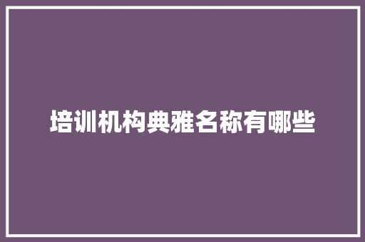培训机构典雅名称有哪些
