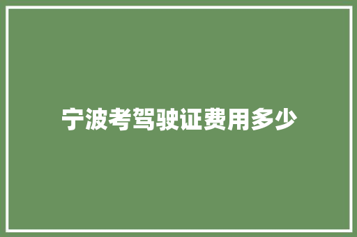 宁波考驾驶证费用多少