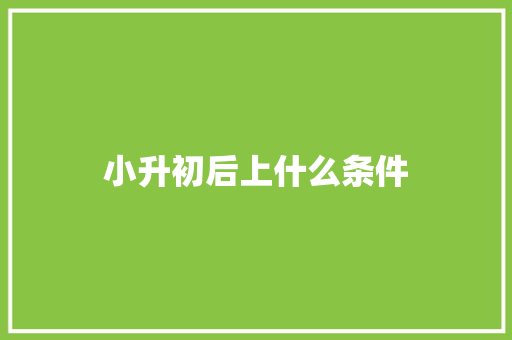 小升初后上什么条件