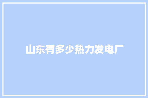 山东有多少热力发电厂