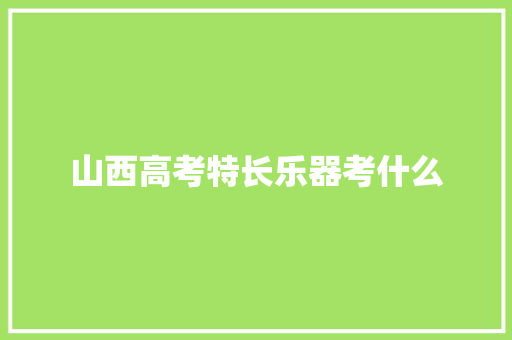 山西高考特长乐器考什么