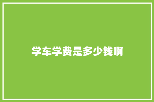 学车学费是多少钱啊