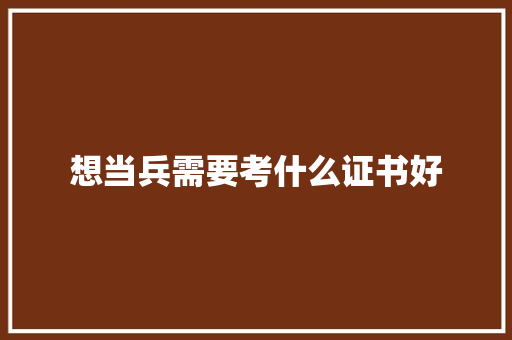 想当兵需要考什么证书好