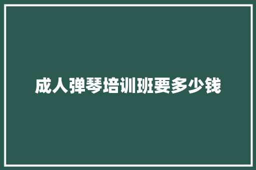 成人弹琴培训班要多少钱