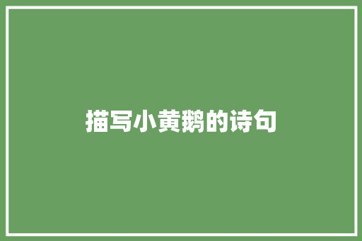 描写小黄鹅的诗句
