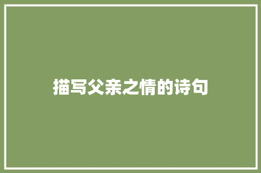 描写父亲之情的诗句 科技报告范文
