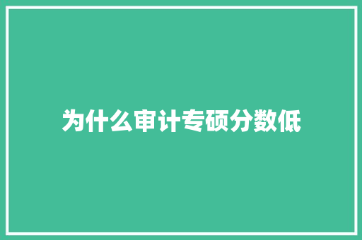 为什么审计专硕分数低